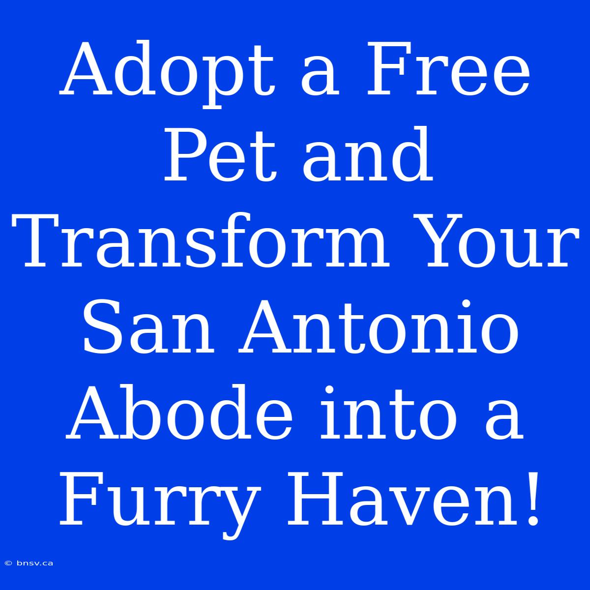 Adopt A Free Pet And Transform Your San Antonio Abode Into A Furry Haven!