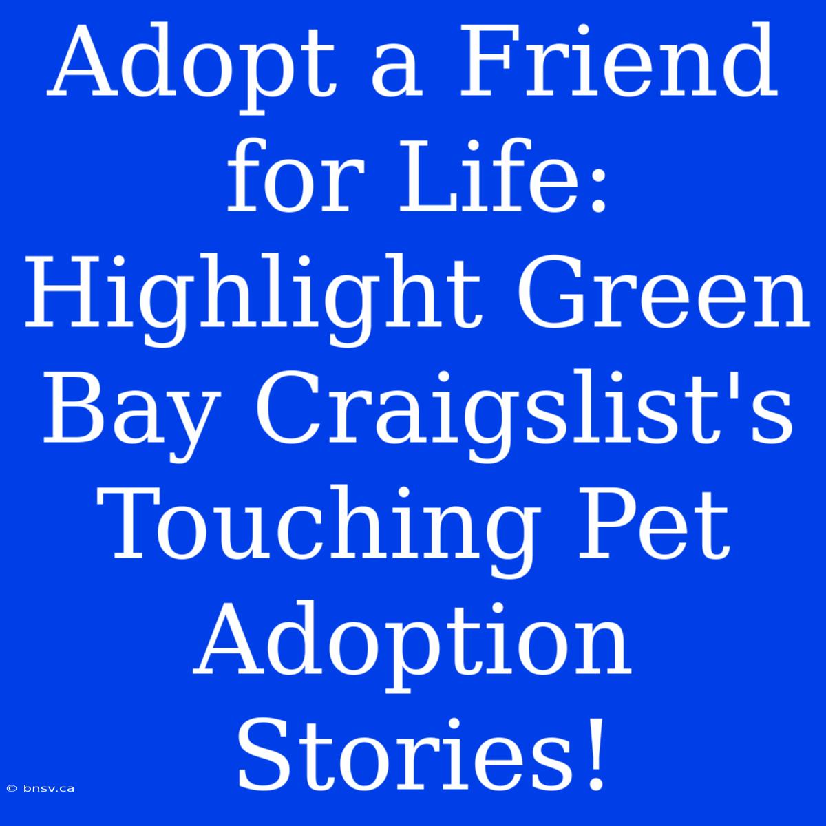 Adopt A Friend For Life: Highlight Green Bay Craigslist's Touching Pet Adoption Stories!