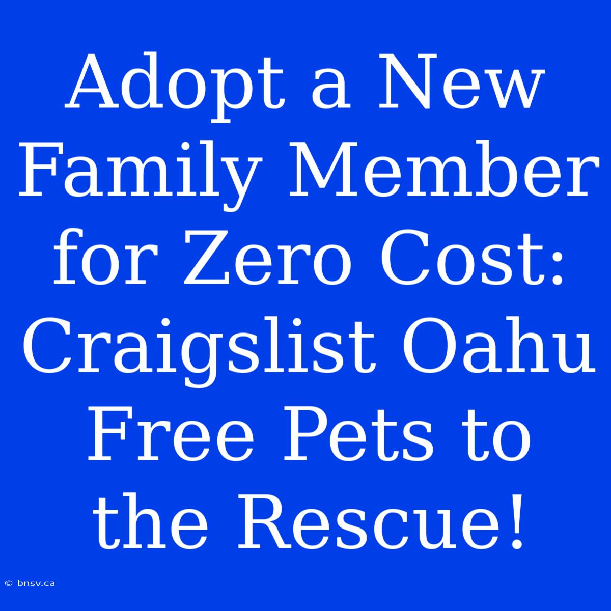 Adopt A New Family Member For Zero Cost: Craigslist Oahu Free Pets To The Rescue!