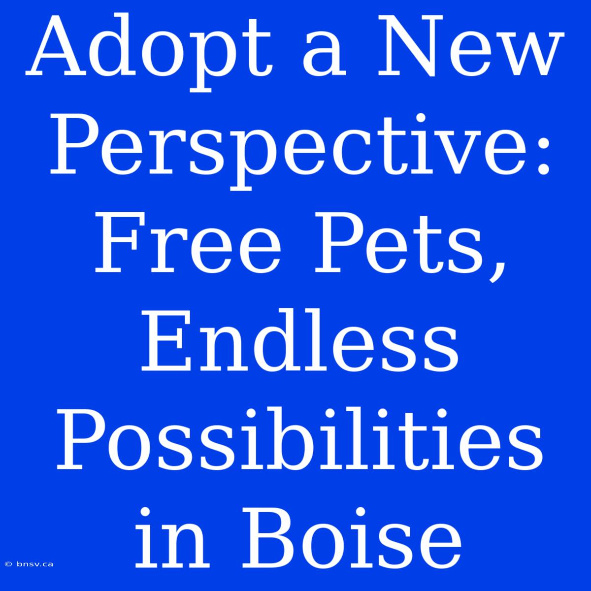 Adopt A New Perspective: Free Pets, Endless Possibilities In Boise