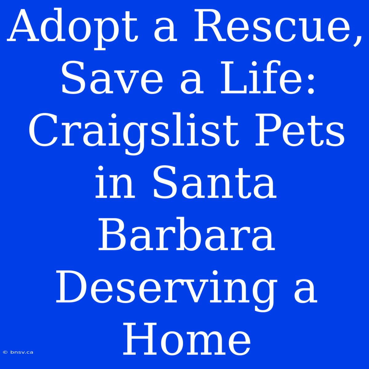 Adopt A Rescue, Save A Life: Craigslist Pets In Santa Barbara Deserving A Home