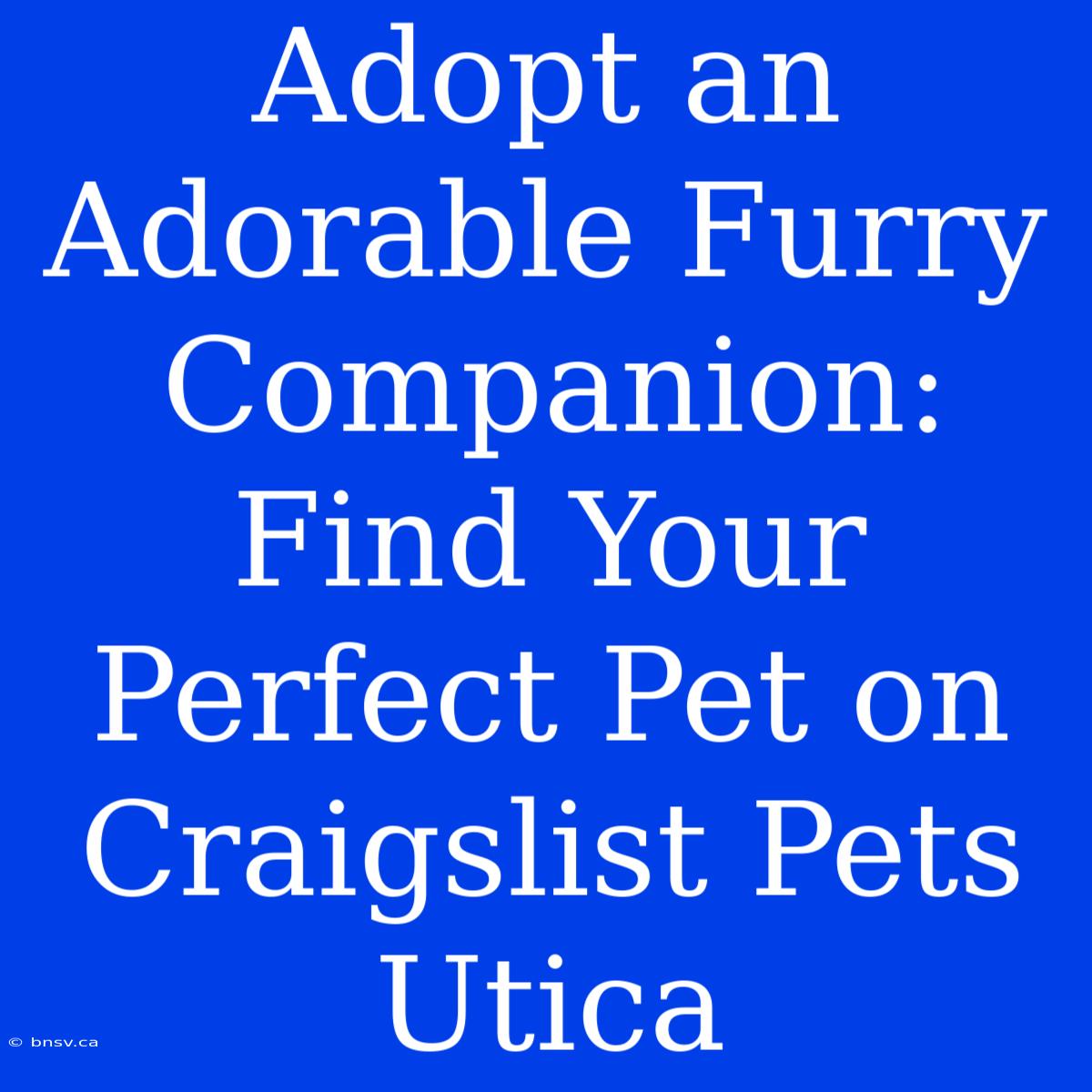 Adopt An Adorable Furry Companion: Find Your Perfect Pet On Craigslist Pets Utica