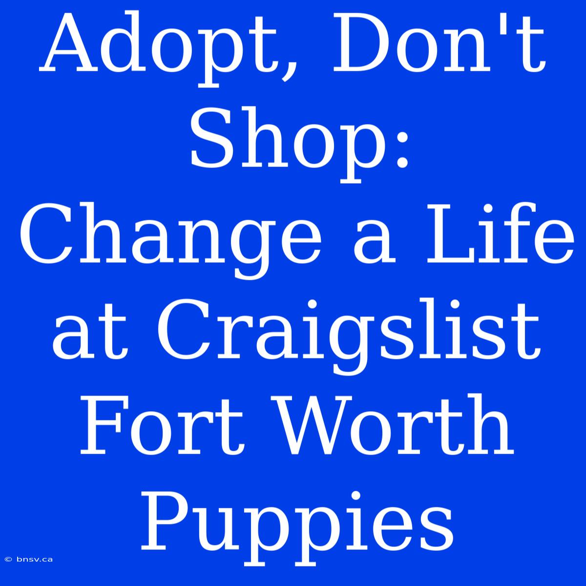 Adopt, Don't Shop: Change A Life At Craigslist Fort Worth Puppies