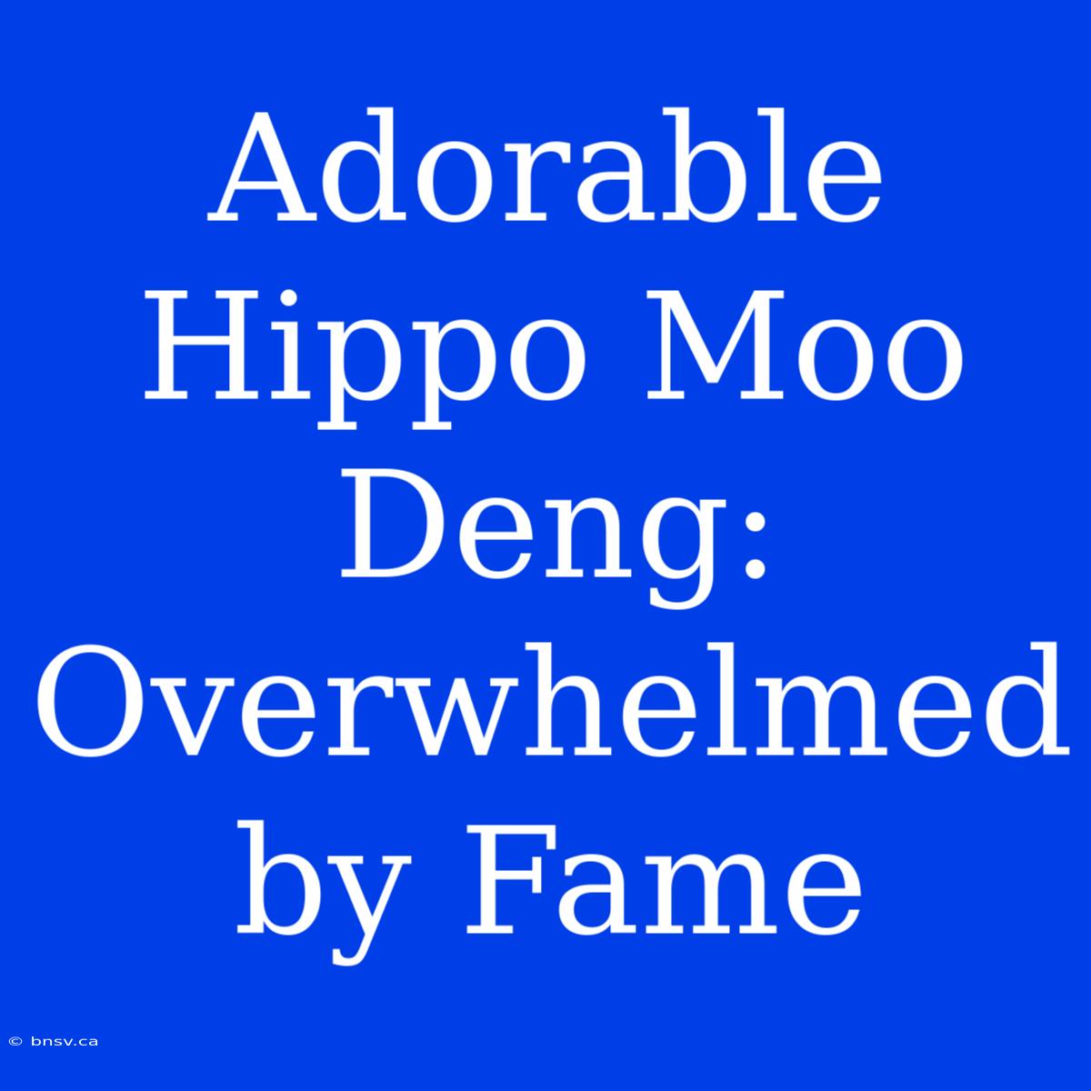 Adorable Hippo Moo Deng:  Overwhelmed By Fame