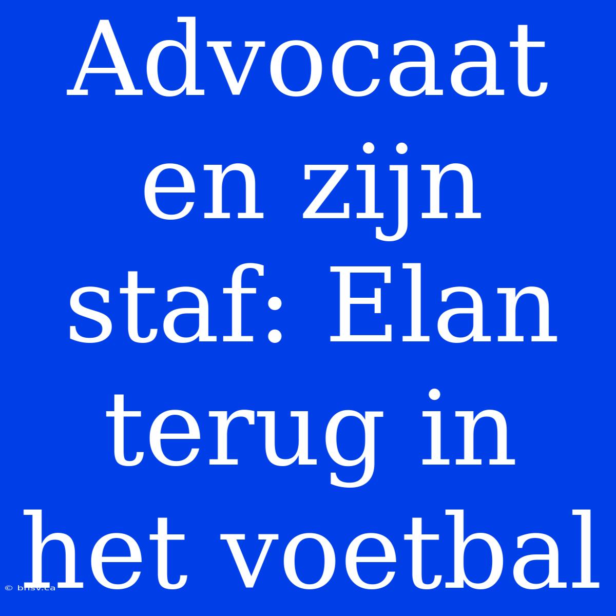 Advocaat En Zijn Staf: Elan Terug In Het Voetbal