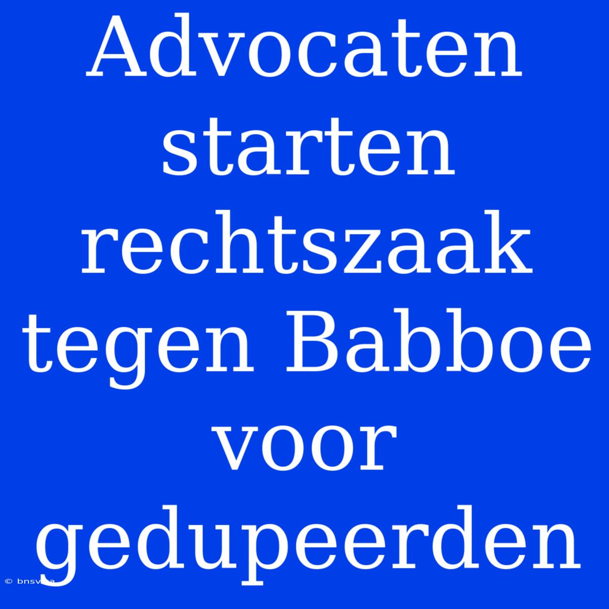 Advocaten Starten Rechtszaak Tegen Babboe Voor Gedupeerden