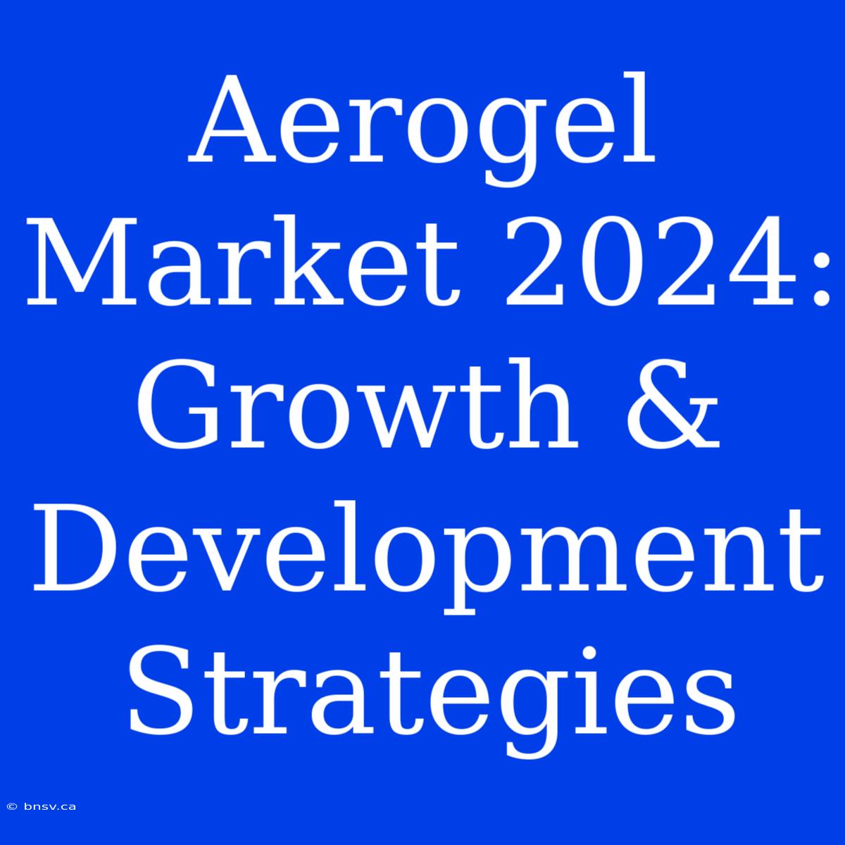 Aerogel Market 2024: Growth & Development Strategies