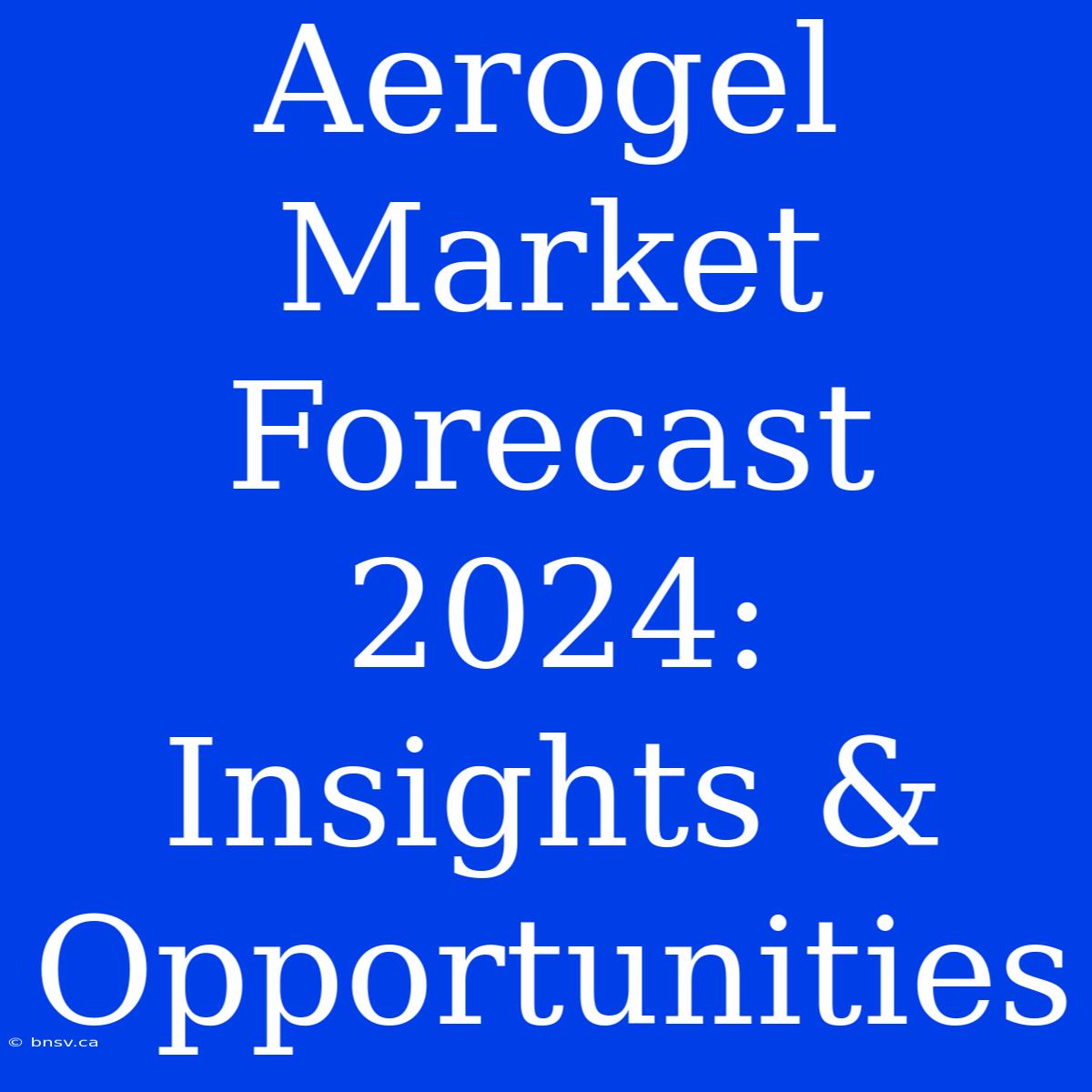 Aerogel Market Forecast 2024: Insights & Opportunities