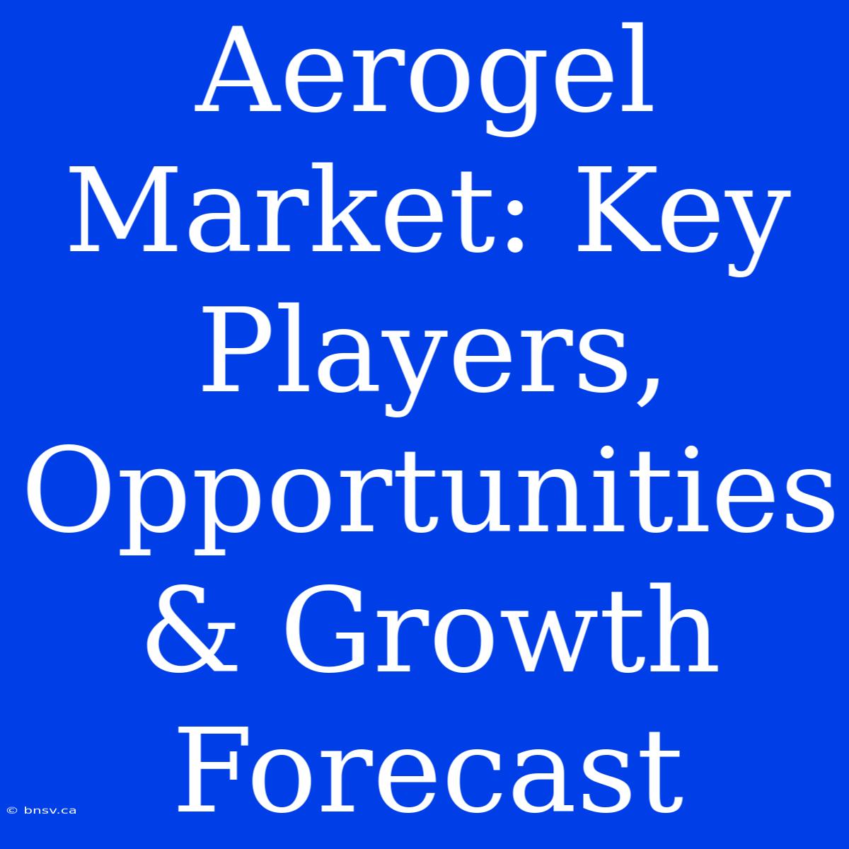 Aerogel Market: Key Players, Opportunities & Growth Forecast