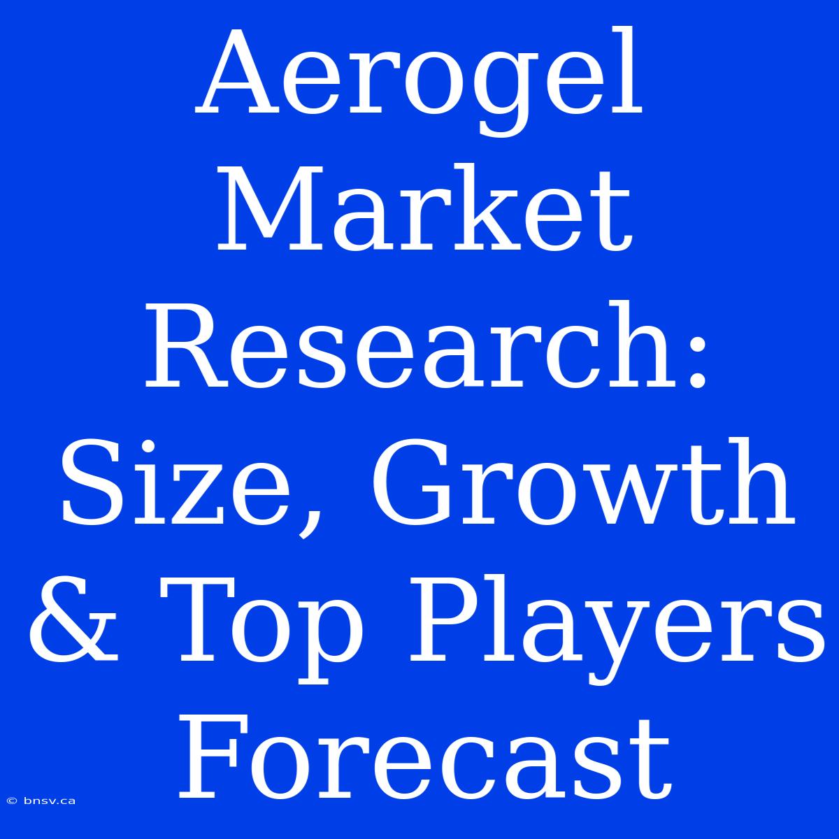 Aerogel Market Research: Size, Growth & Top Players Forecast