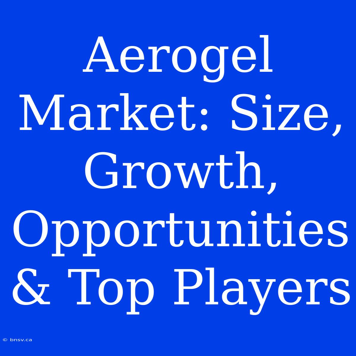 Aerogel Market: Size, Growth, Opportunities & Top Players