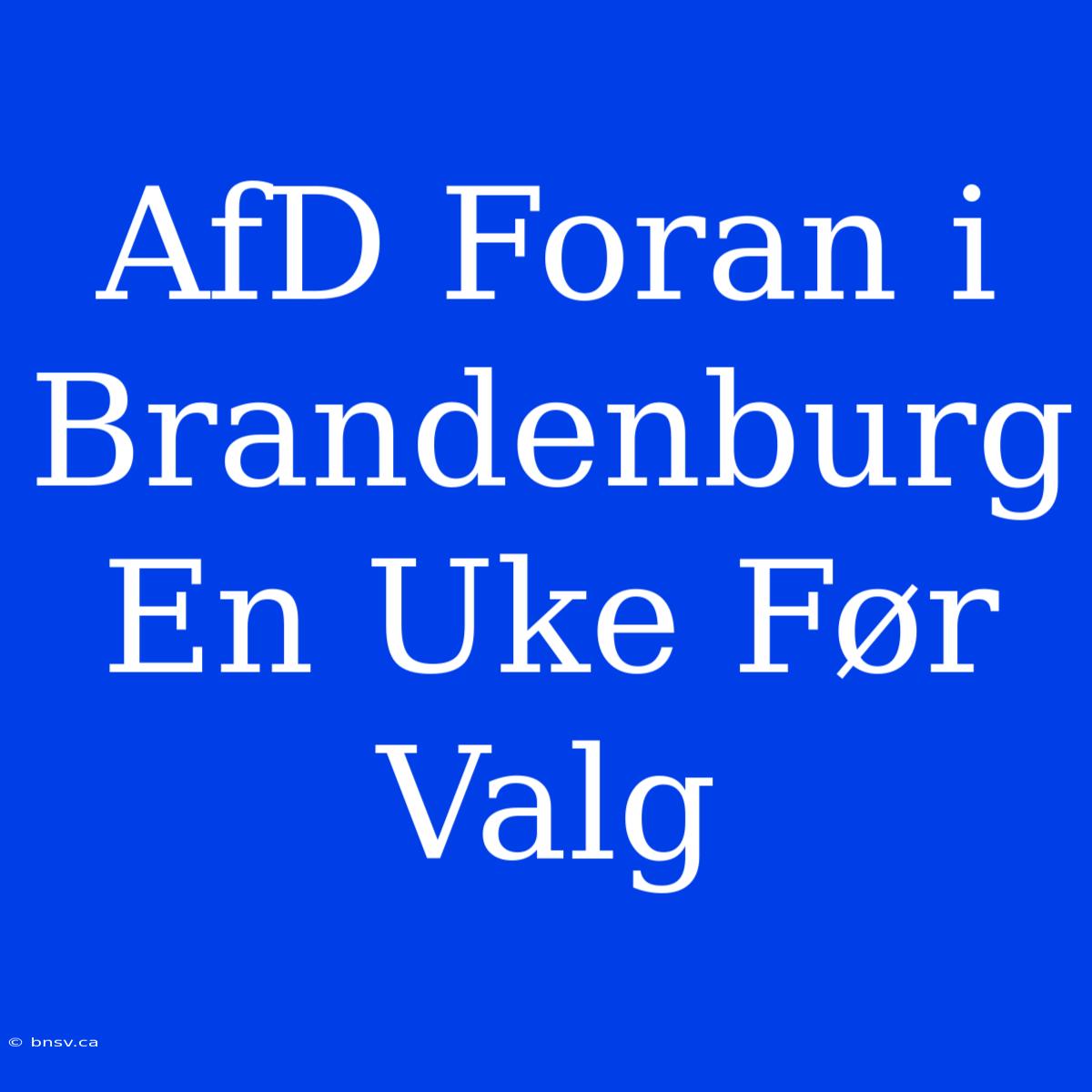 AfD Foran I Brandenburg En Uke Før Valg