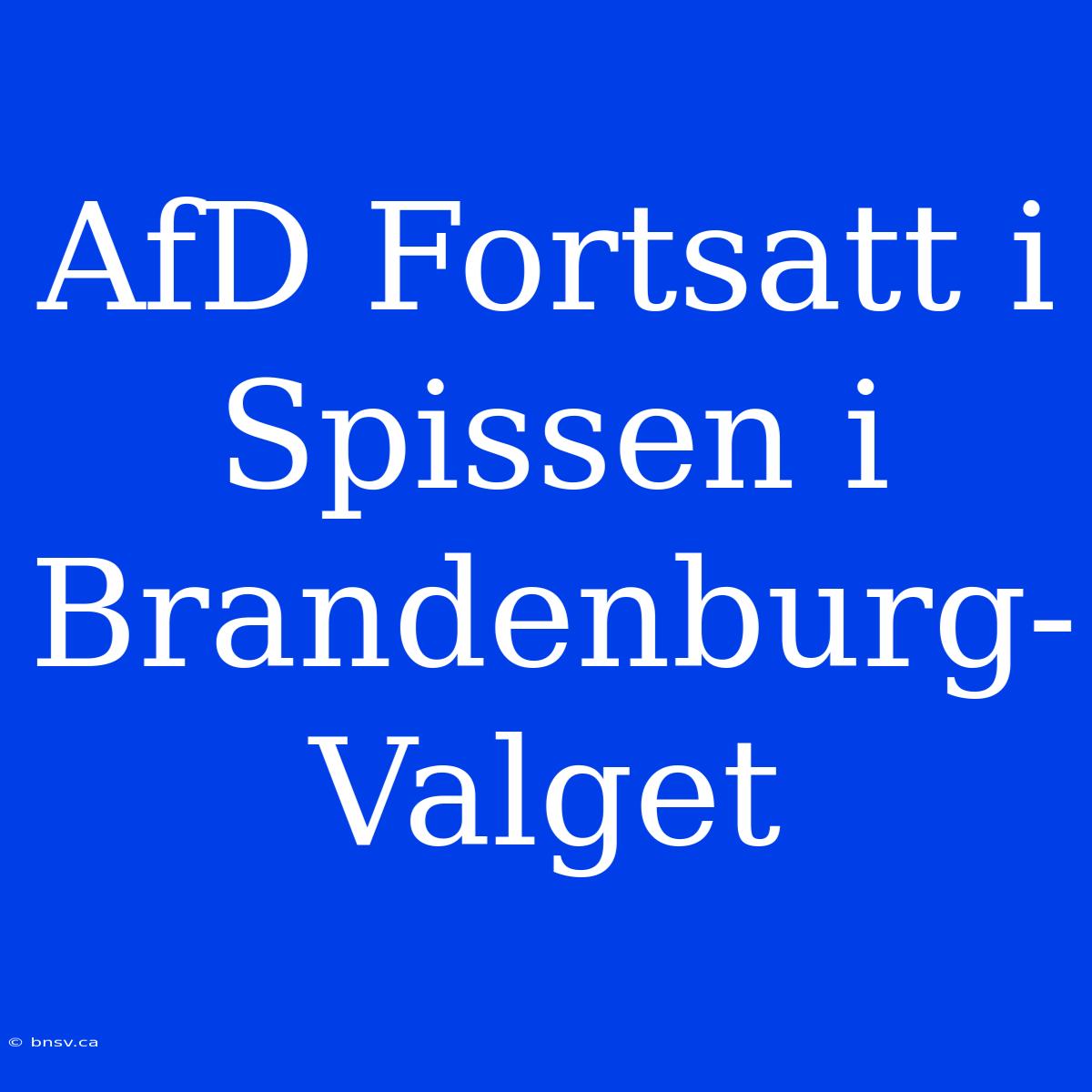 AfD Fortsatt I Spissen I Brandenburg-Valget