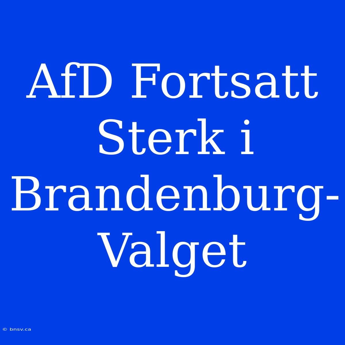 AfD Fortsatt Sterk I Brandenburg-Valget