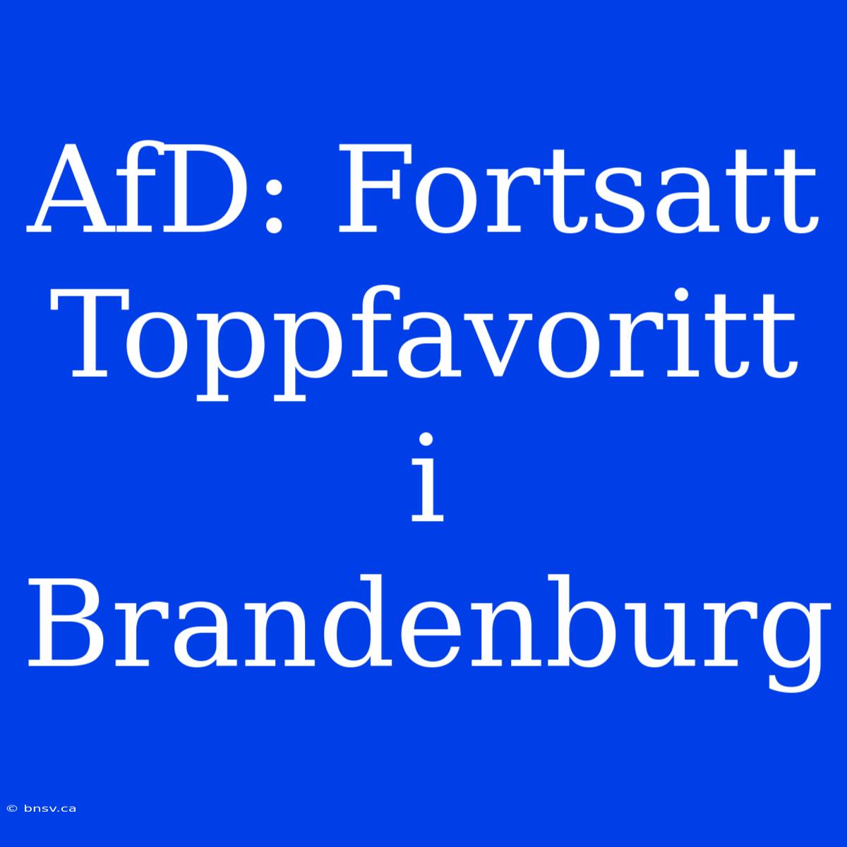 AfD: Fortsatt Toppfavoritt I Brandenburg