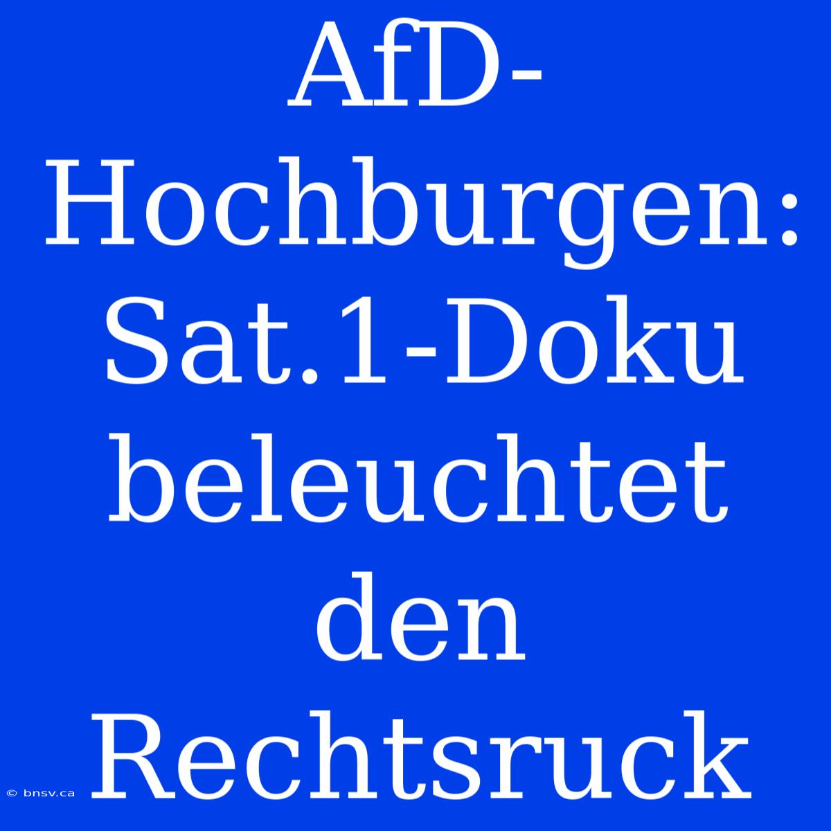 AfD-Hochburgen: Sat.1-Doku Beleuchtet Den Rechtsruck