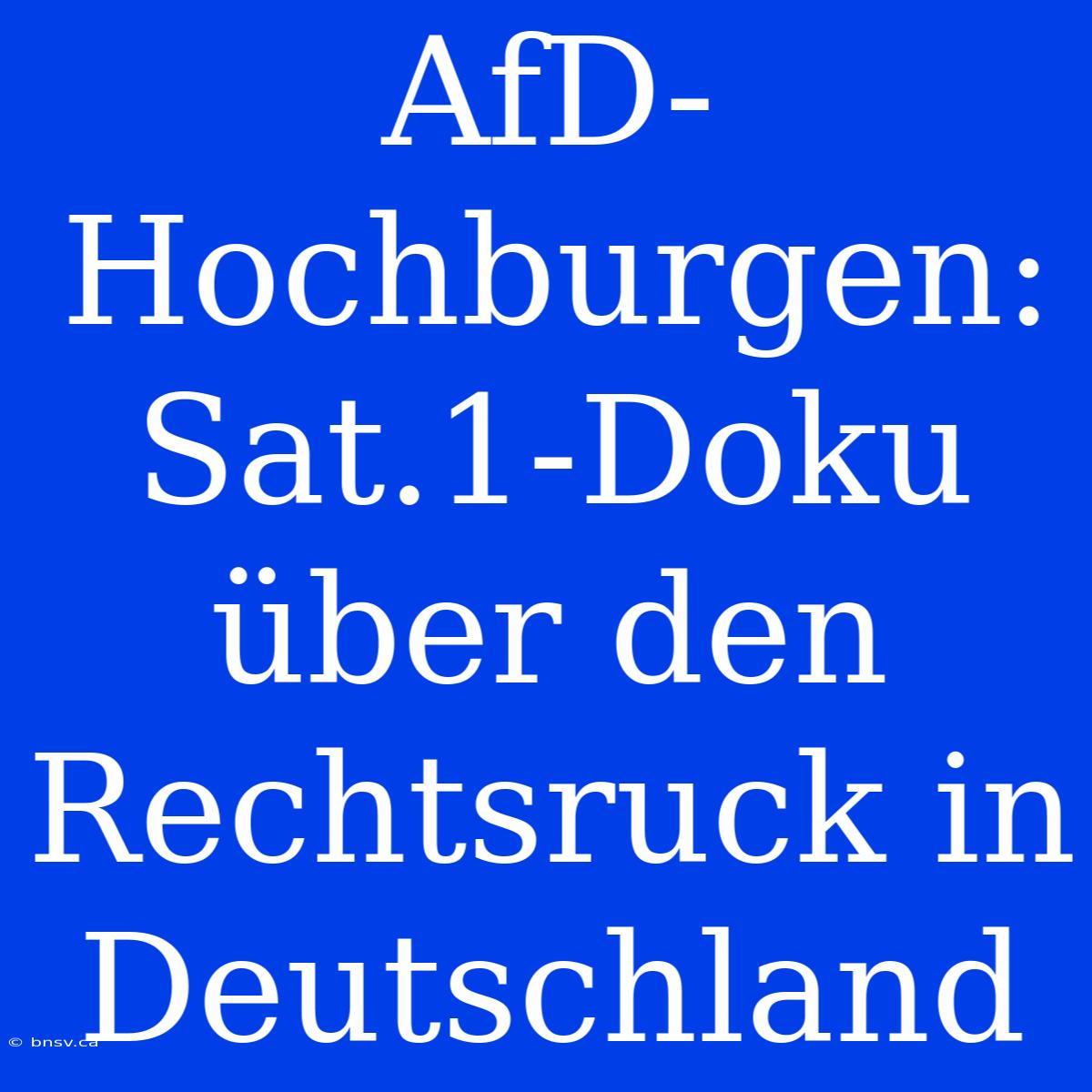 AfD-Hochburgen: Sat.1-Doku Über Den Rechtsruck In Deutschland