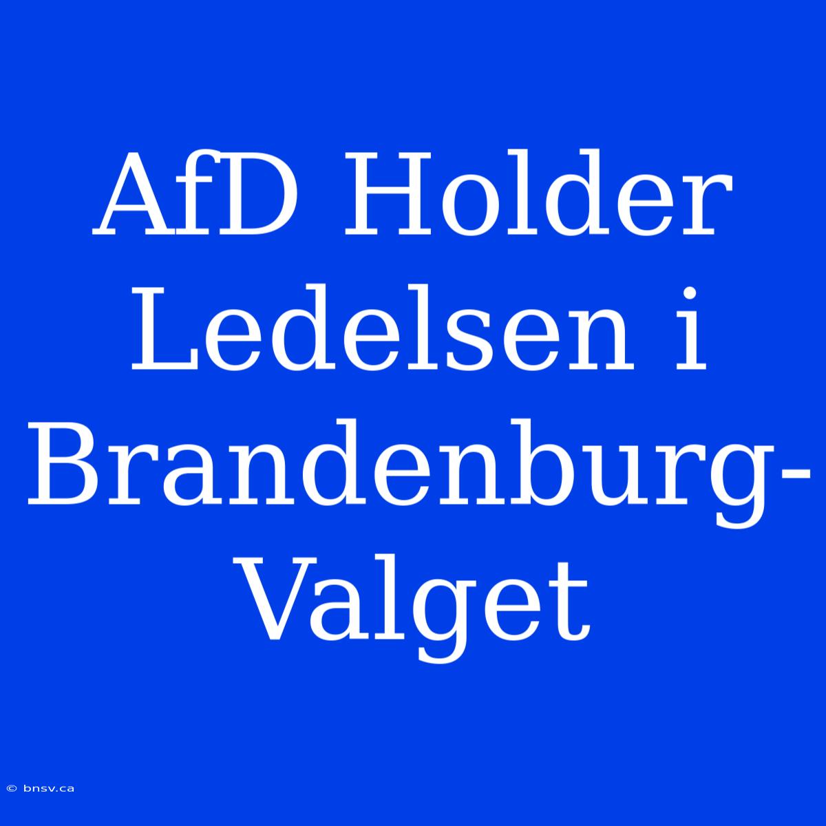 AfD Holder Ledelsen I Brandenburg-Valget