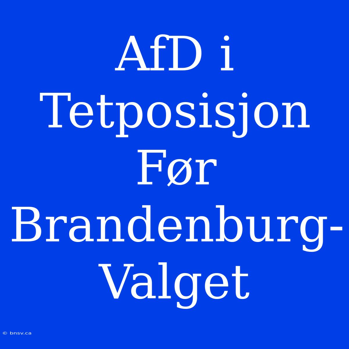 AfD I Tetposisjon Før Brandenburg-Valget