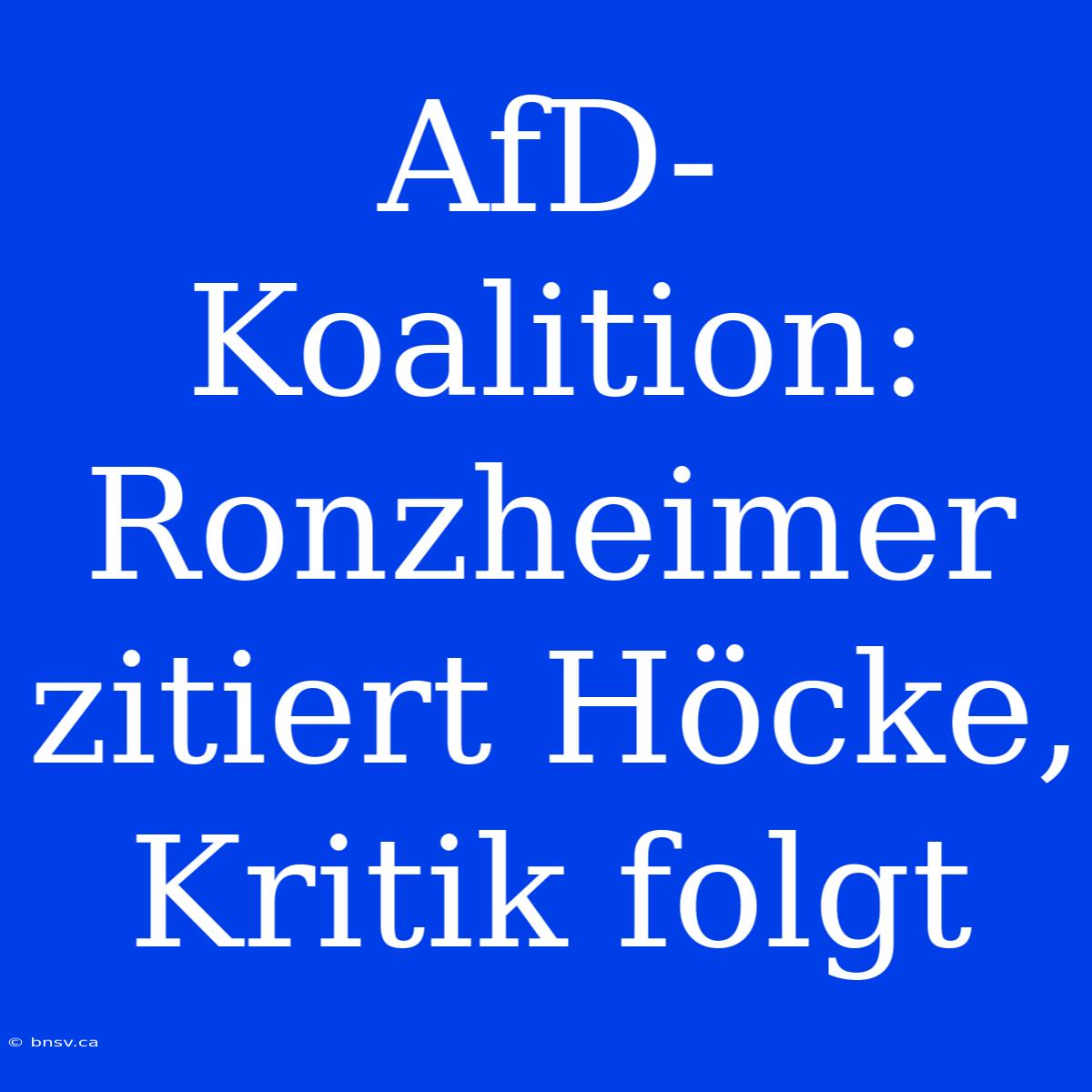 AfD-Koalition: Ronzheimer Zitiert Höcke, Kritik Folgt