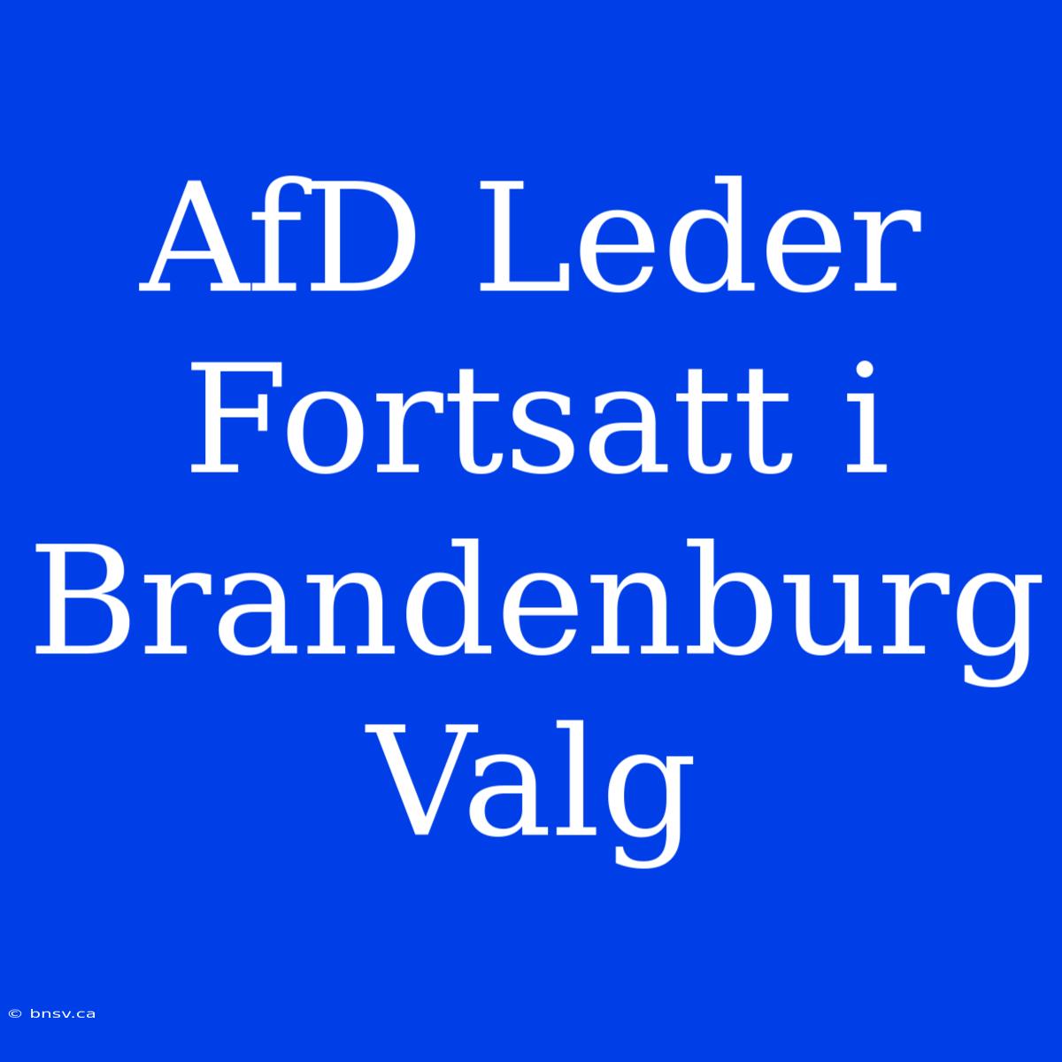 AfD Leder Fortsatt I Brandenburg Valg