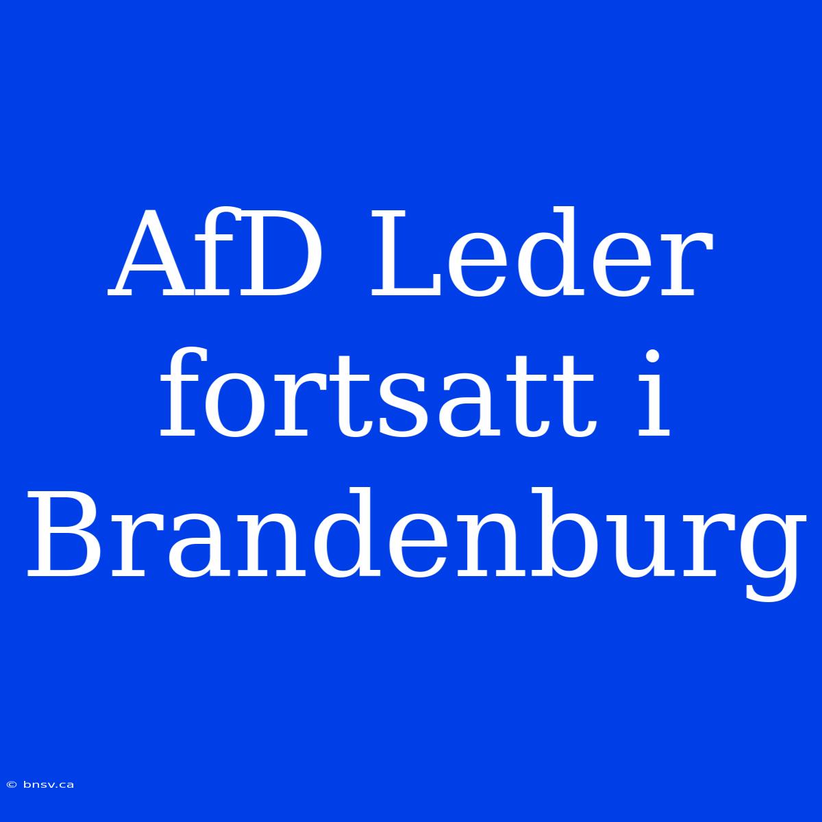 AfD Leder Fortsatt I Brandenburg