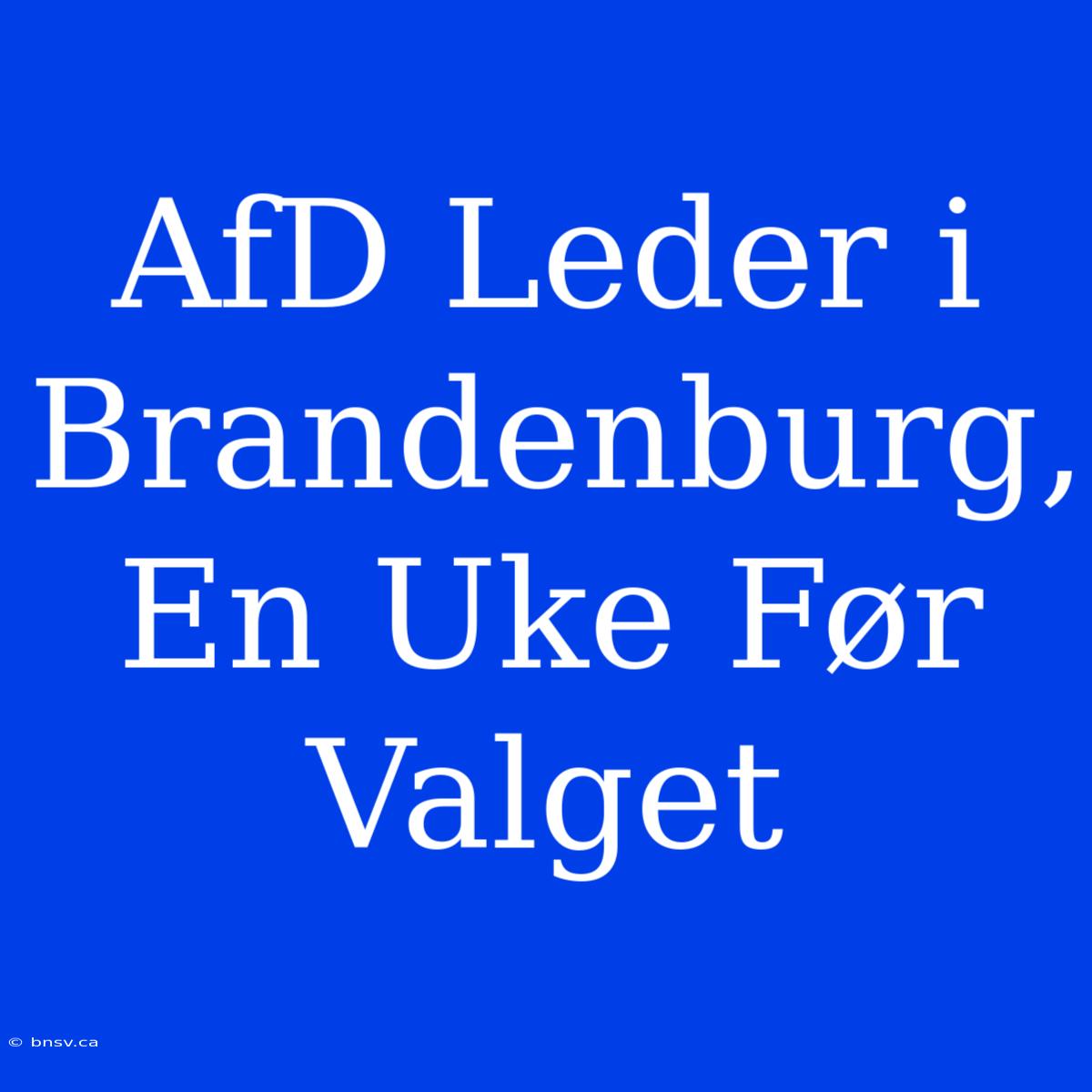 AfD Leder I Brandenburg, En Uke Før Valget