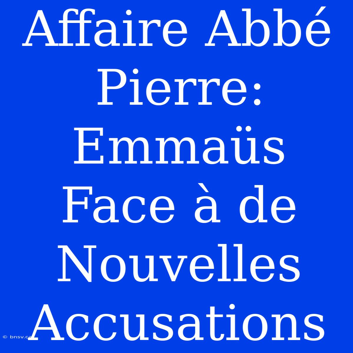 Affaire Abbé Pierre: Emmaüs Face À De Nouvelles Accusations