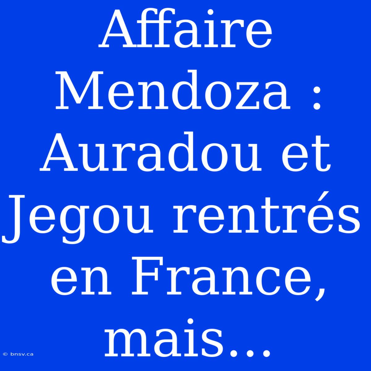 Affaire Mendoza : Auradou Et Jegou Rentrés En France, Mais...