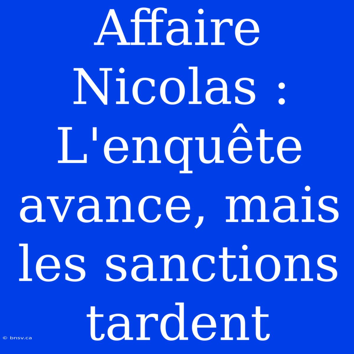 Affaire Nicolas : L'enquête Avance, Mais Les Sanctions Tardent