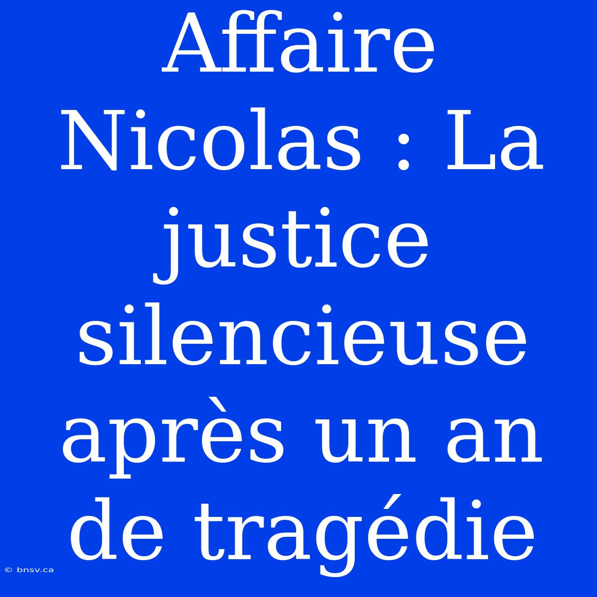 Affaire Nicolas : La Justice Silencieuse Après Un An De Tragédie