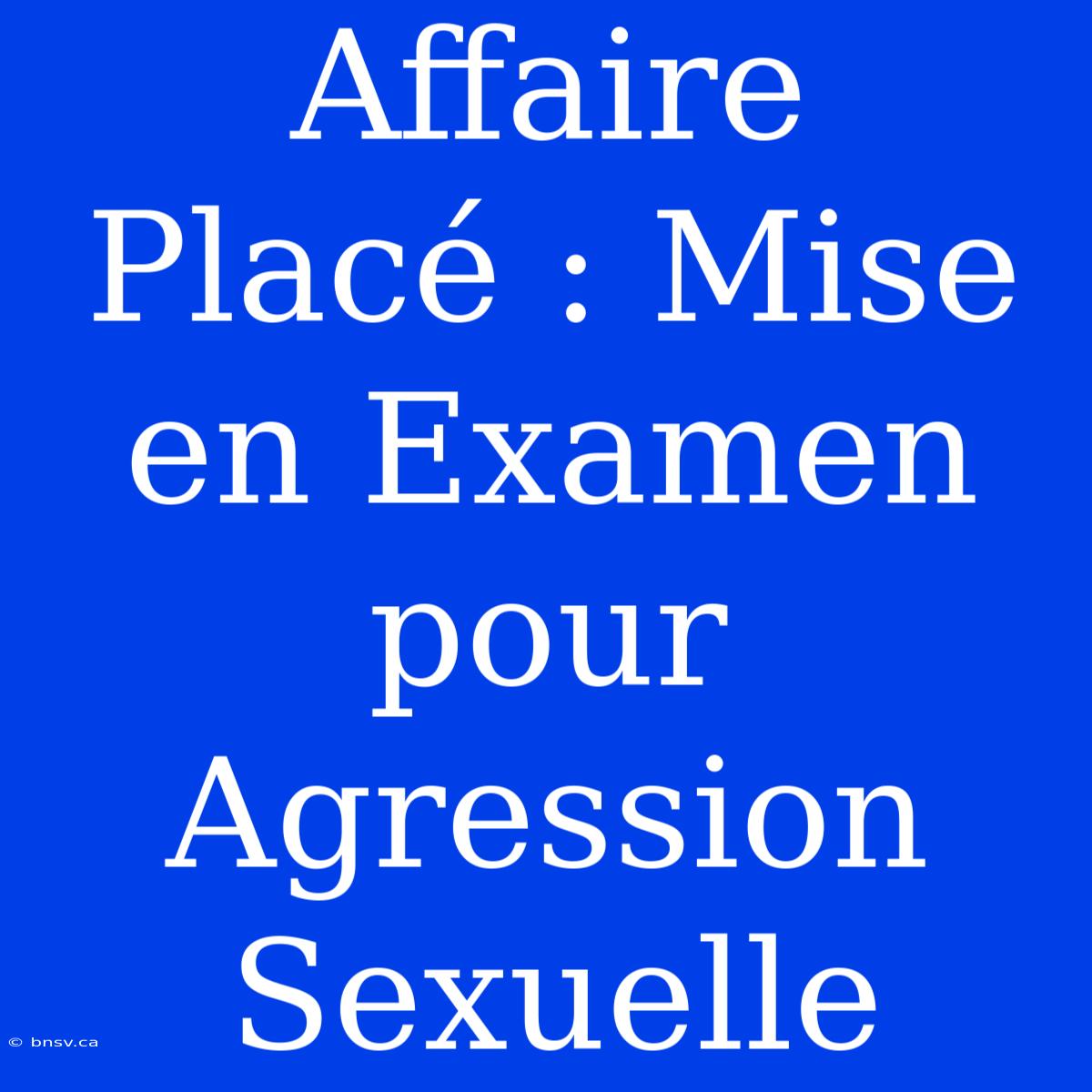 Affaire Placé : Mise En Examen Pour Agression Sexuelle