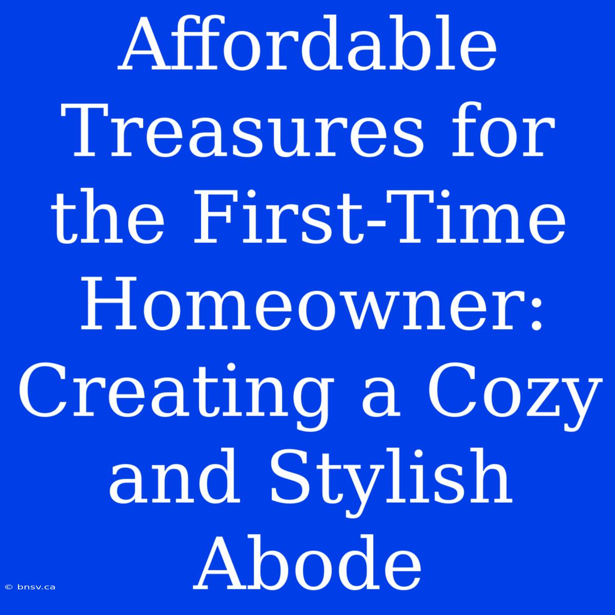 Affordable Treasures For The First-Time Homeowner: Creating A Cozy And Stylish Abode