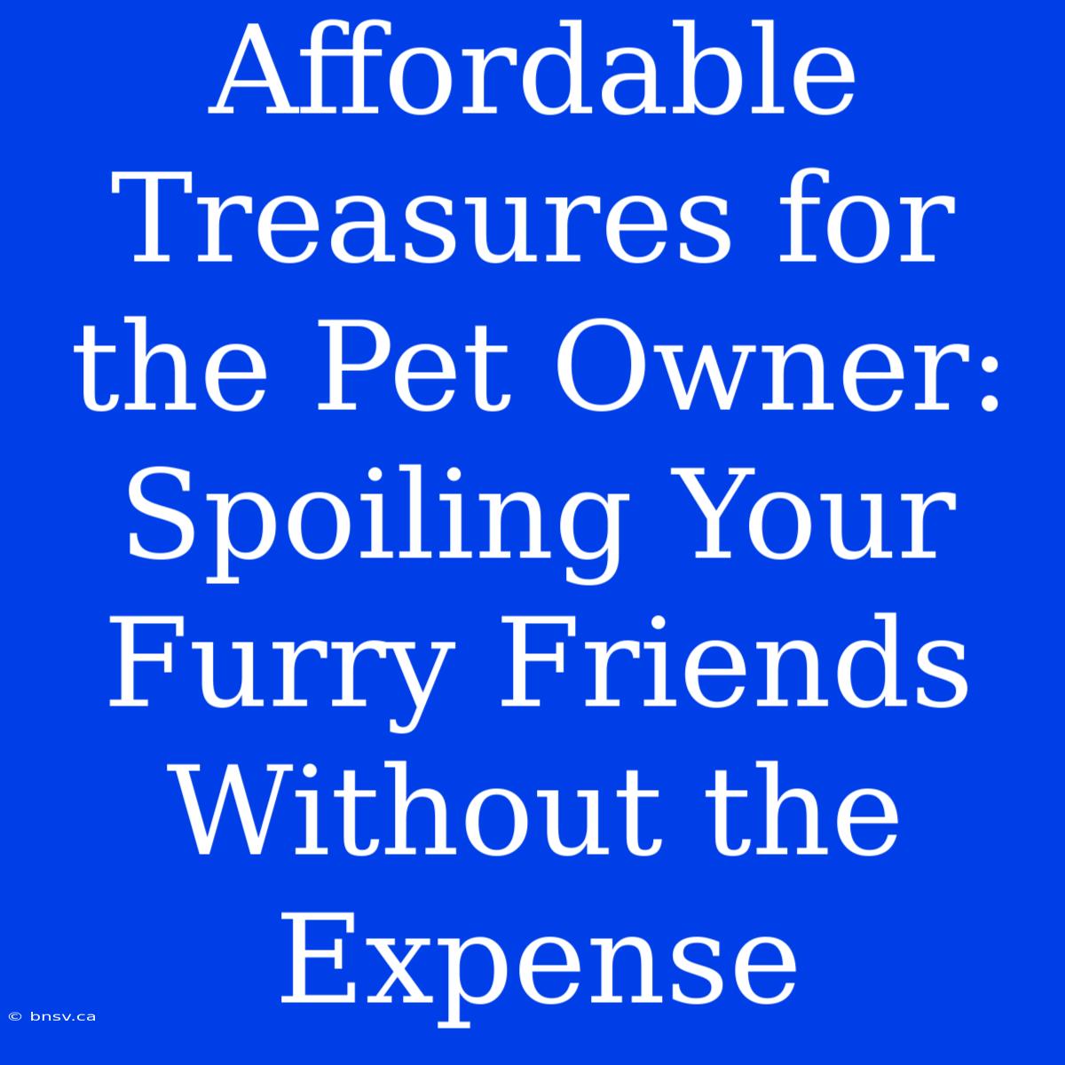 Affordable Treasures For The Pet Owner: Spoiling Your Furry Friends Without The Expense