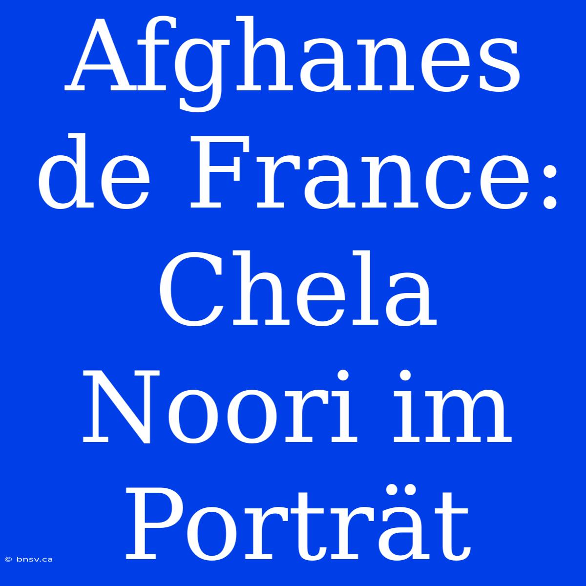 Afghanes De France: Chela Noori Im Porträt