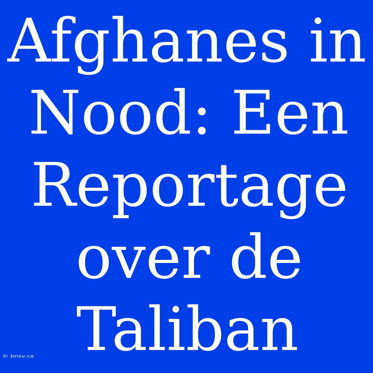 Afghanes In Nood: Een Reportage Over De Taliban