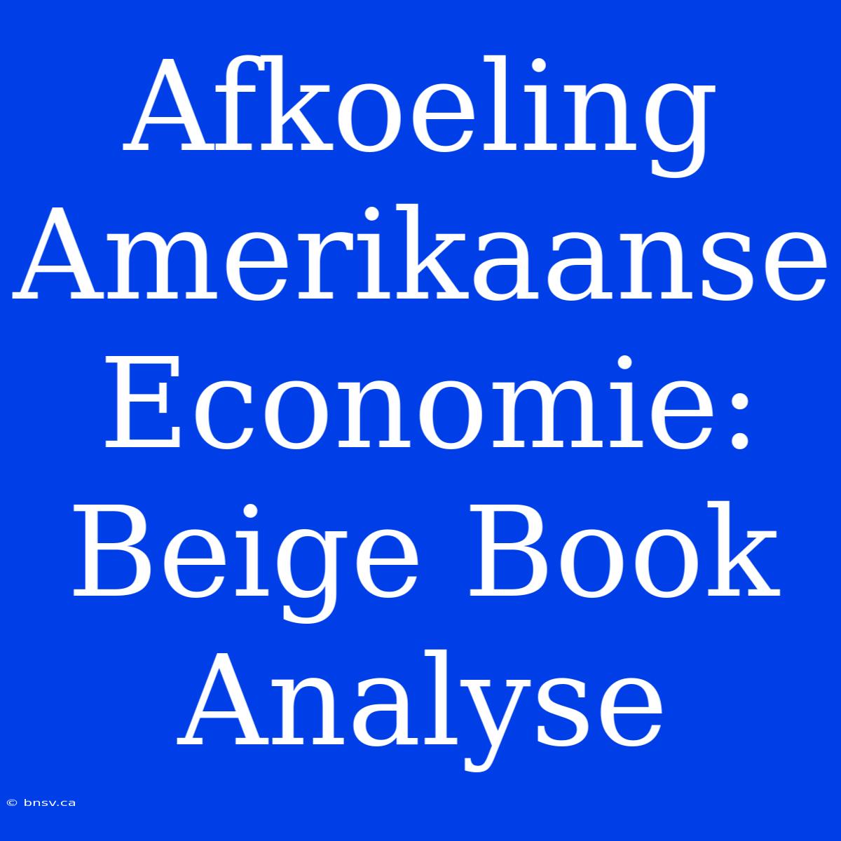 Afkoeling Amerikaanse Economie: Beige Book Analyse