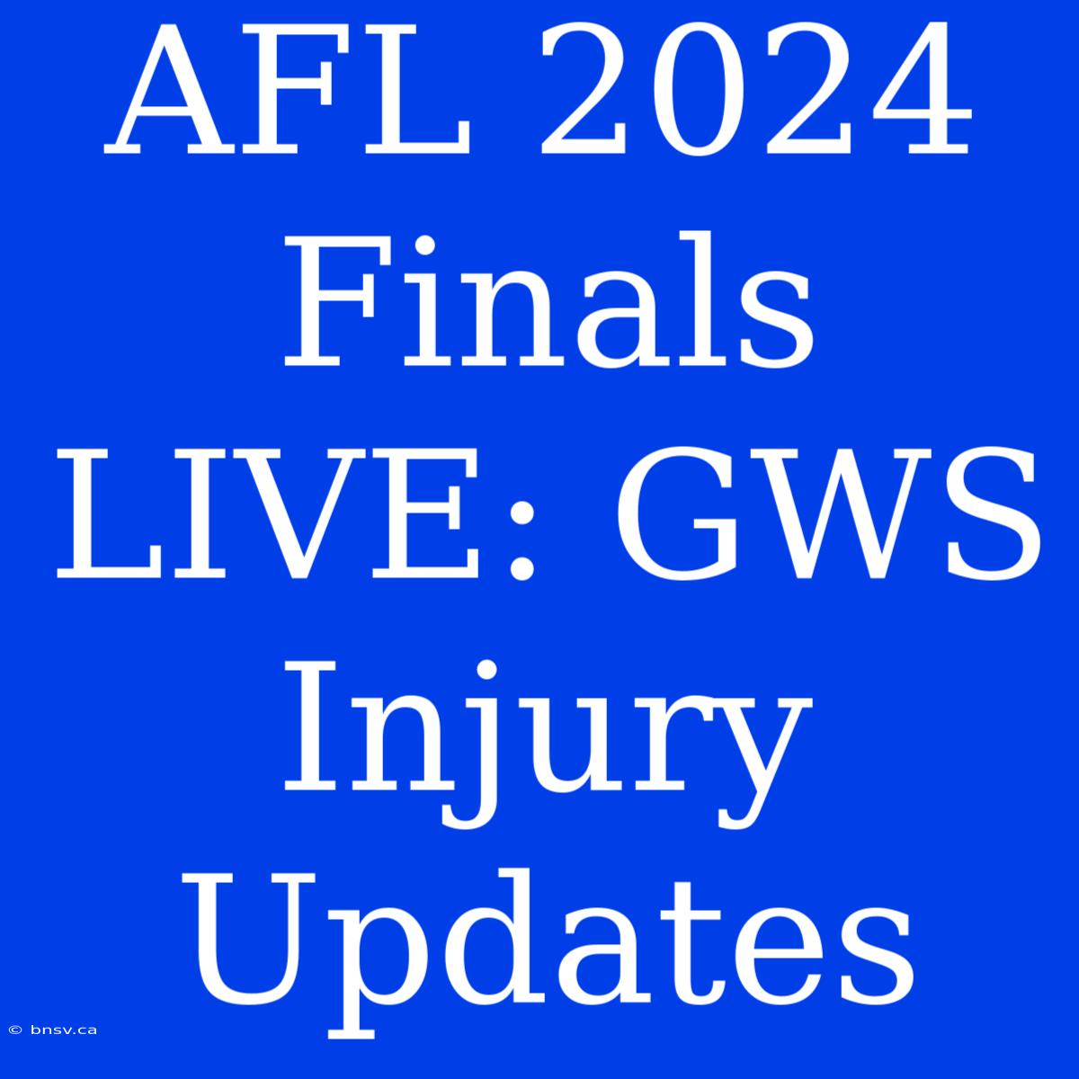 AFL 2024 Finals LIVE: GWS Injury Updates