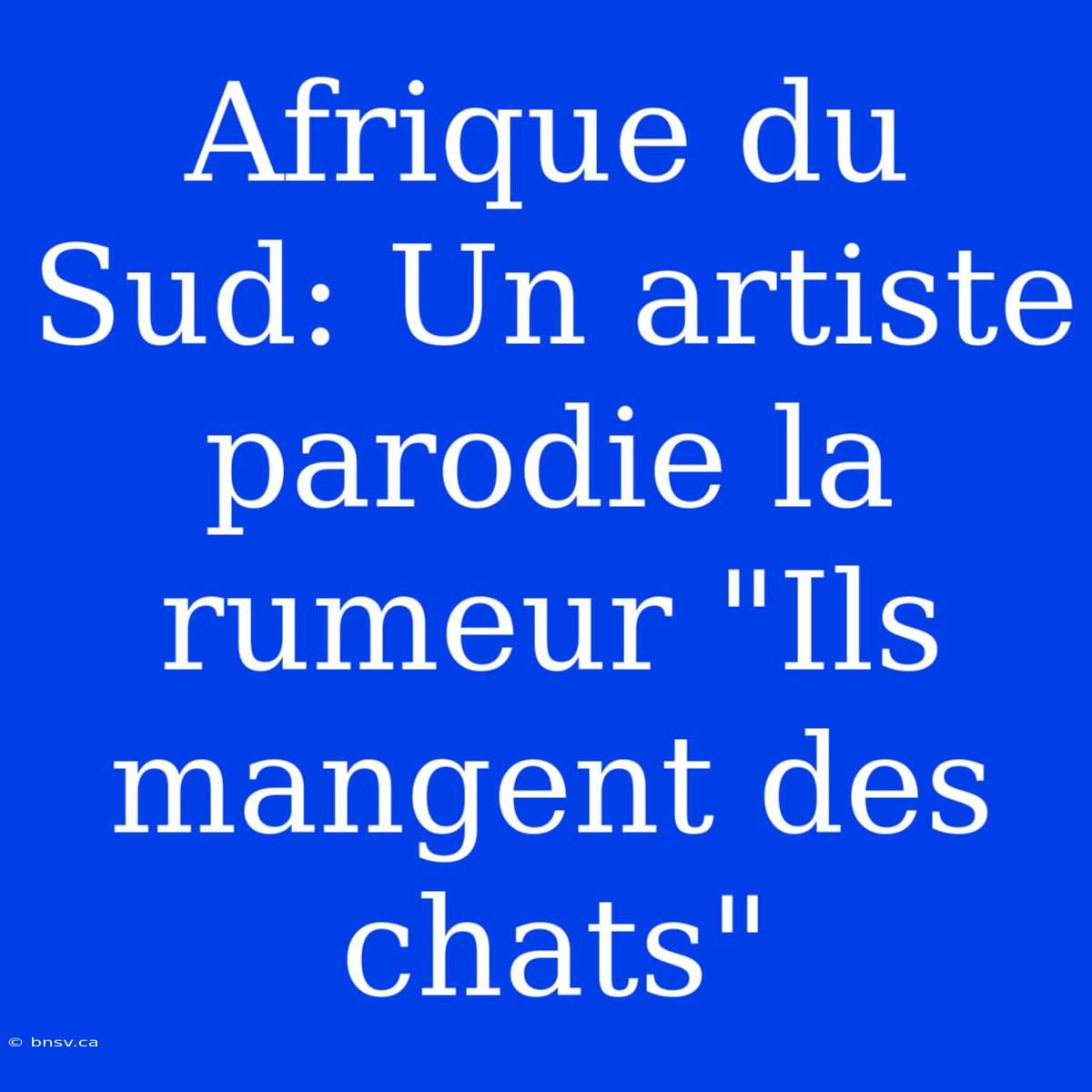 Afrique Du Sud: Un Artiste Parodie La Rumeur 