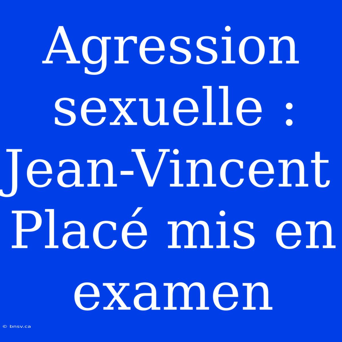 Agression Sexuelle : Jean-Vincent Placé Mis En Examen