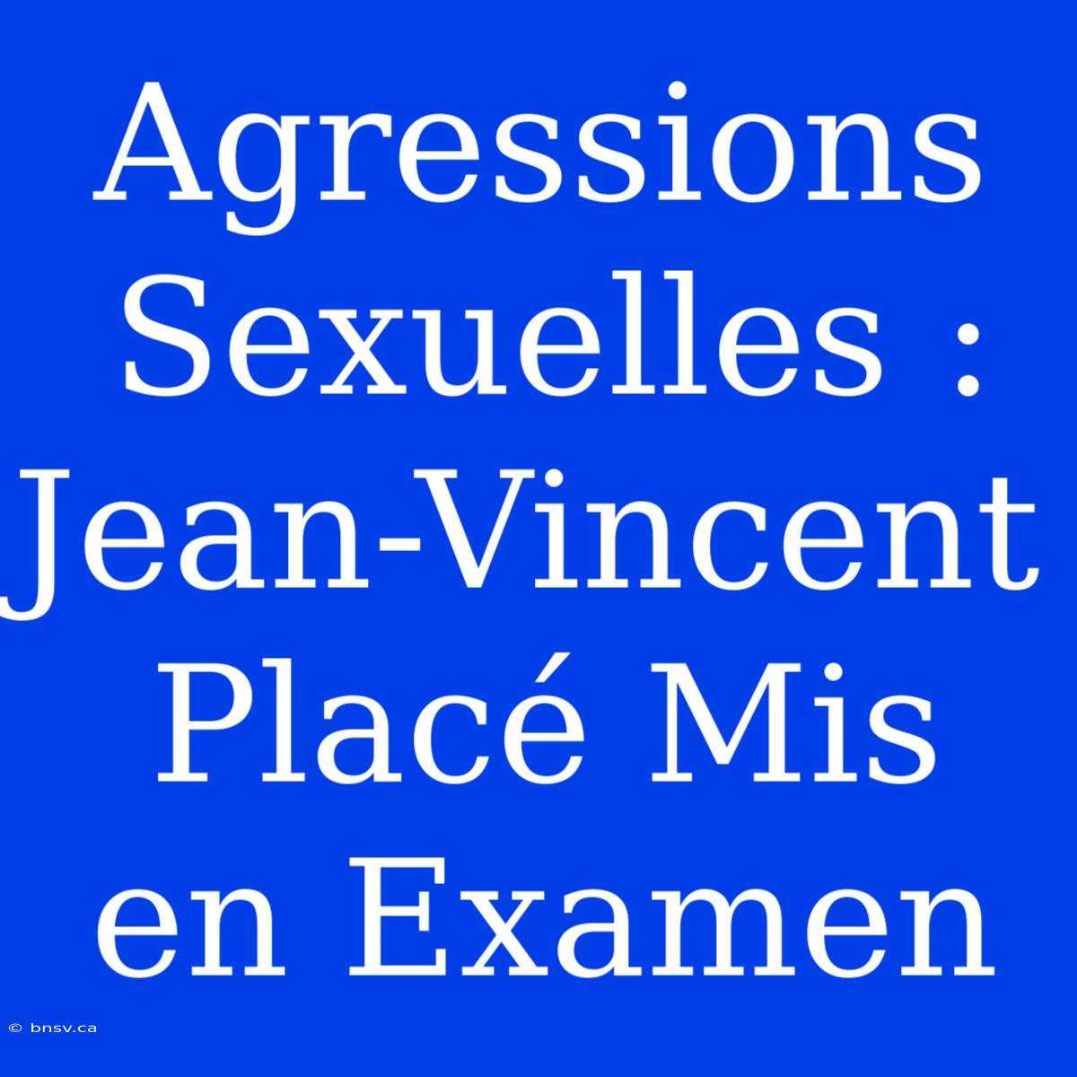 Agressions Sexuelles : Jean-Vincent Placé Mis En Examen