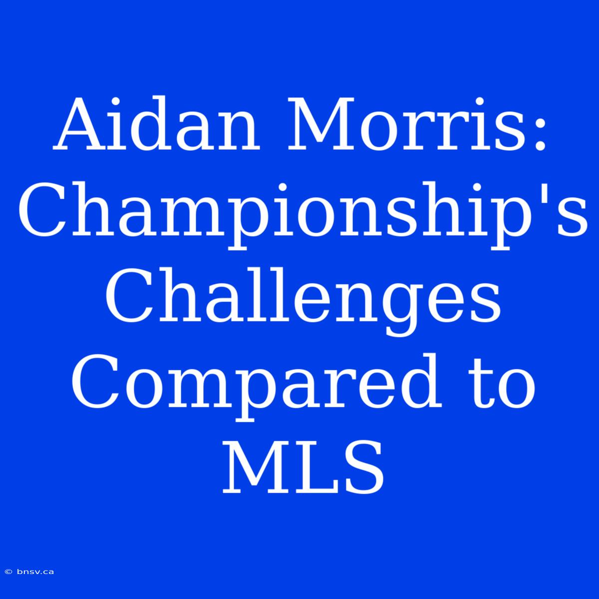 Aidan Morris: Championship's Challenges Compared To MLS