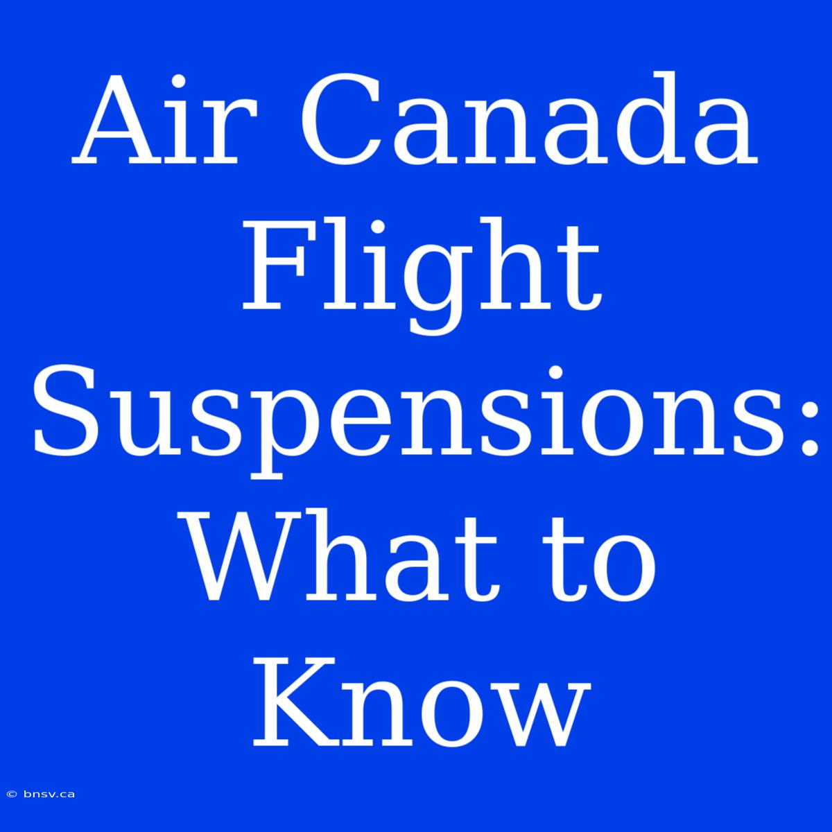 Air Canada Flight Suspensions:  What To Know