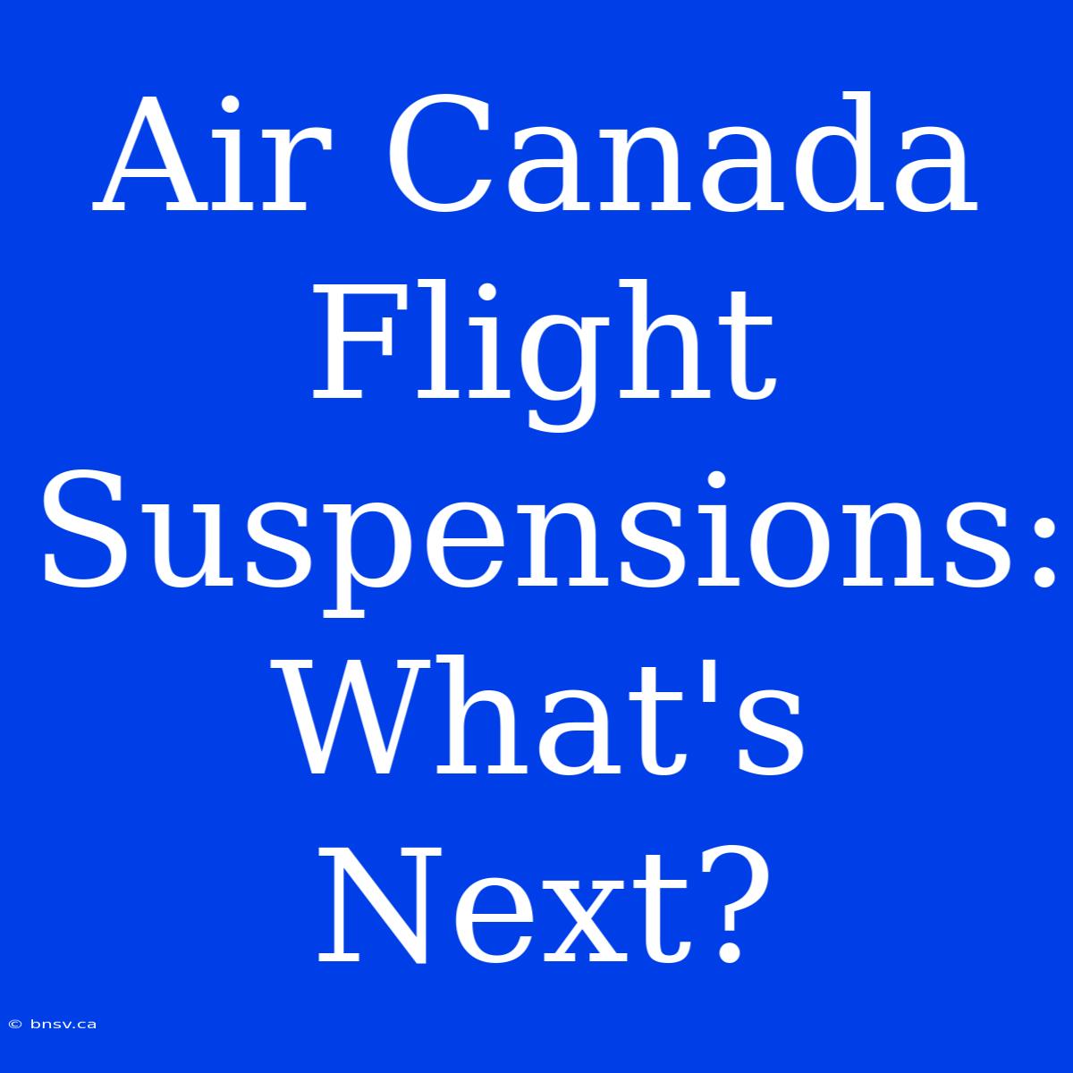 Air Canada Flight Suspensions: What's Next?