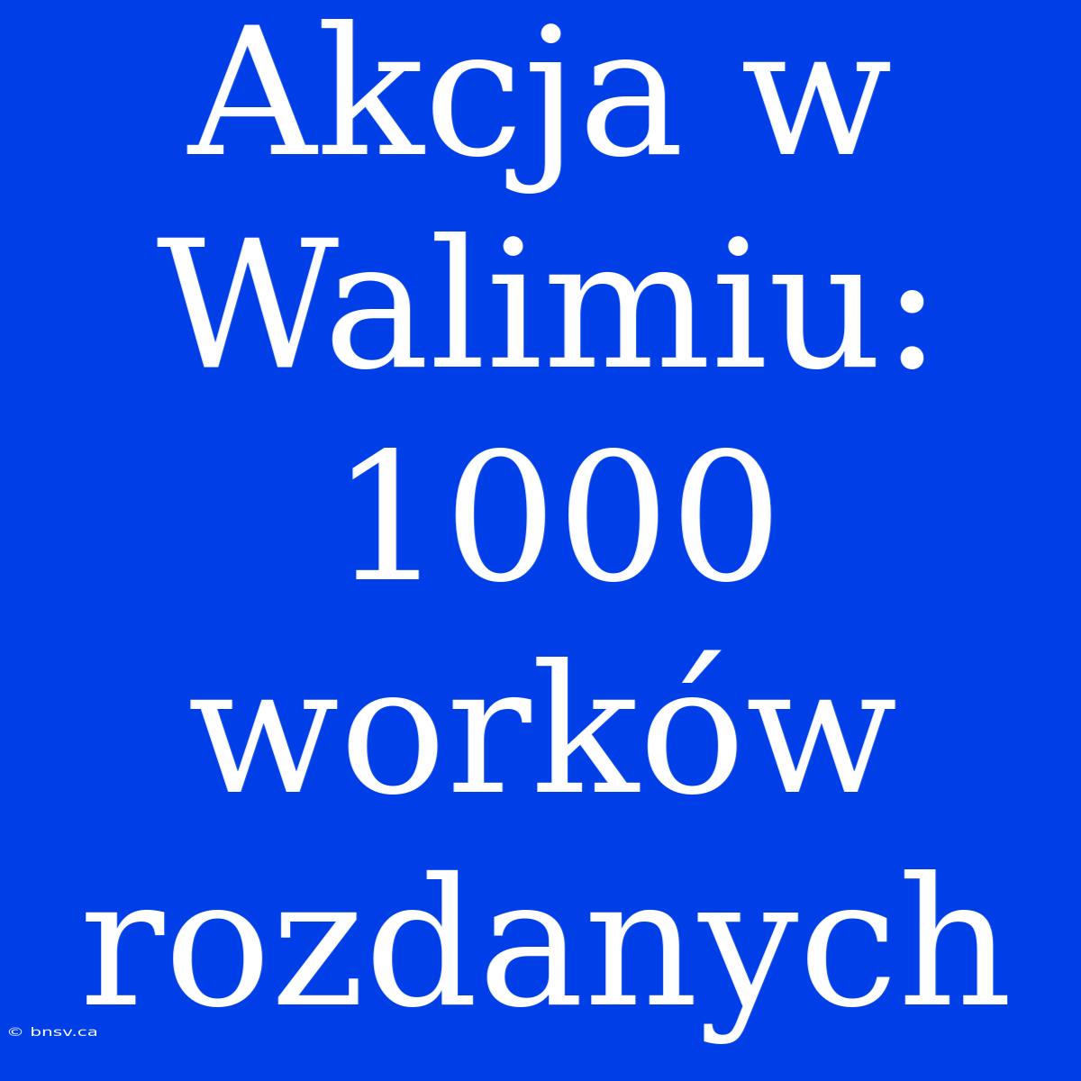 Akcja W Walimiu: 1000 Worków Rozdanych