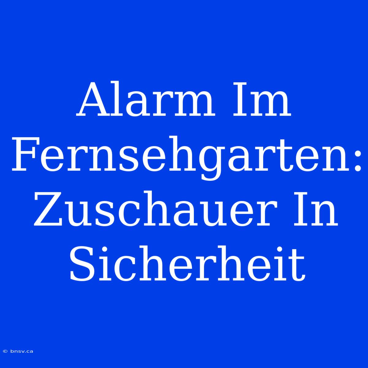 Alarm Im Fernsehgarten: Zuschauer In Sicherheit