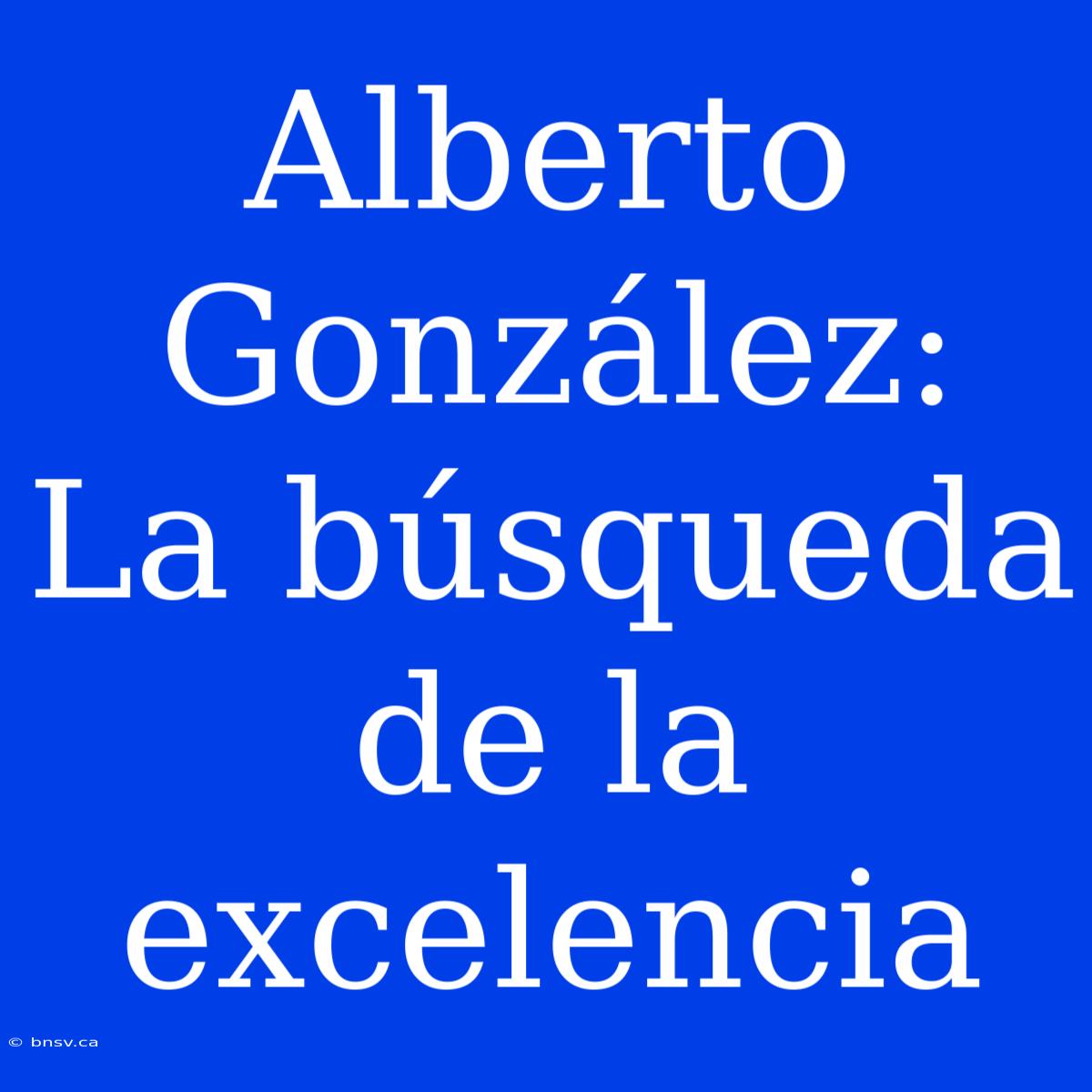 Alberto González: La Búsqueda De La Excelencia