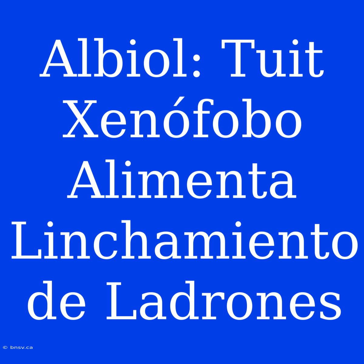 Albiol: Tuit Xenófobo Alimenta Linchamiento De Ladrones