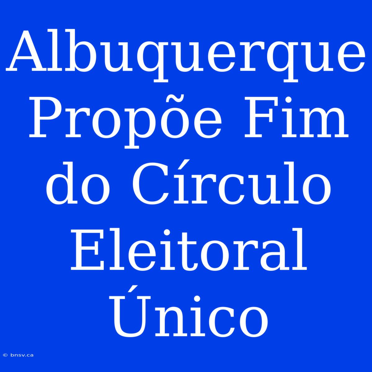 Albuquerque Propõe Fim Do Círculo Eleitoral Único