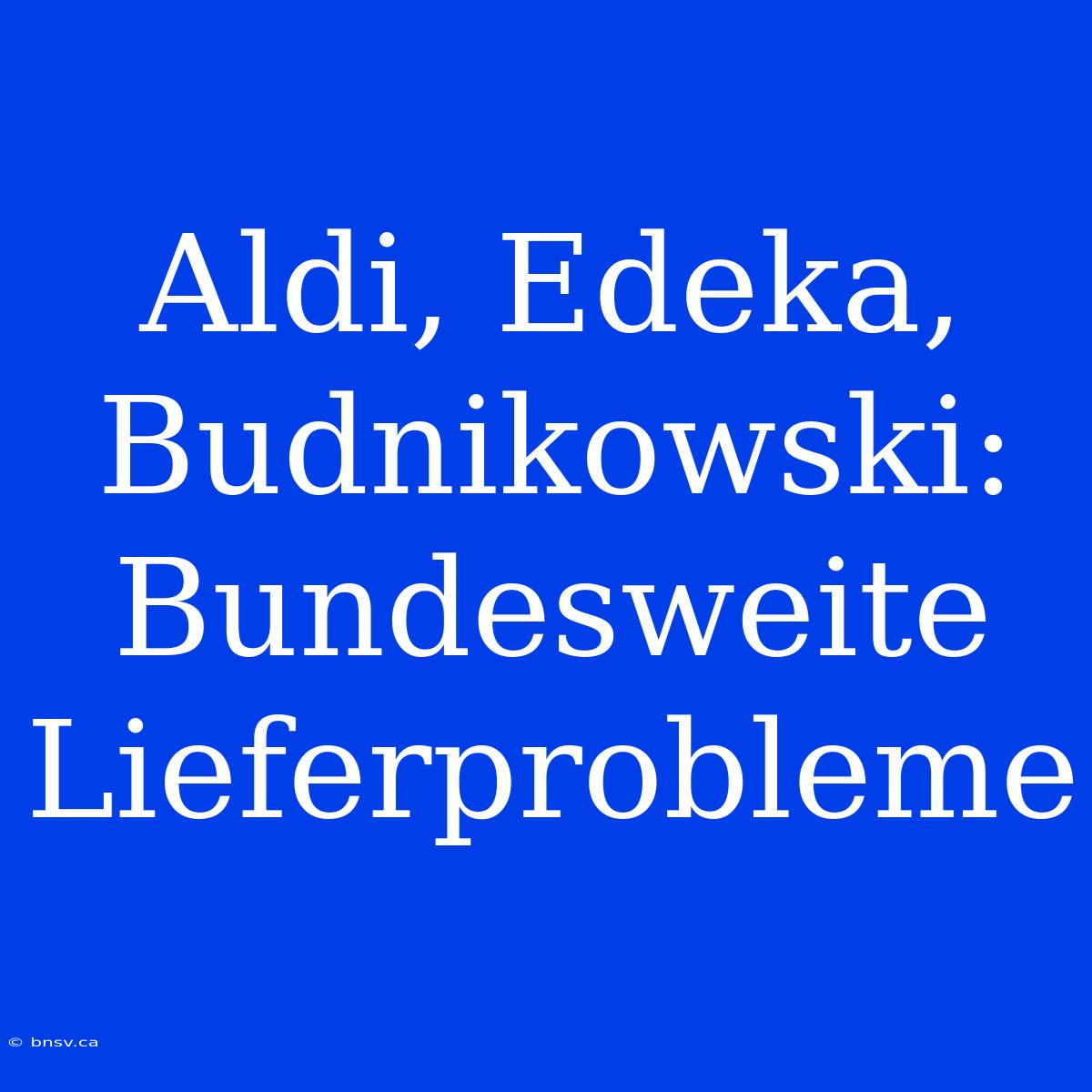 Aldi, Edeka, Budnikowski: Bundesweite Lieferprobleme